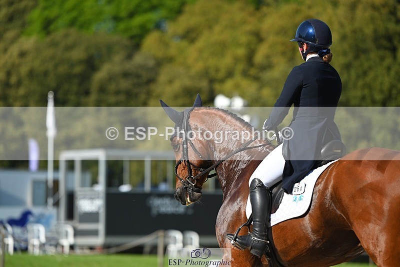 230526-173110-07625 - 264-BALLADEER_JUST_FOR_KICKS-Ellie_Healy-WEDTrotUp+DR