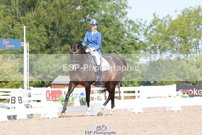 250815-111310-00778 - 012-Natasha.Collings-CostelloDovevale.Tender.Dove