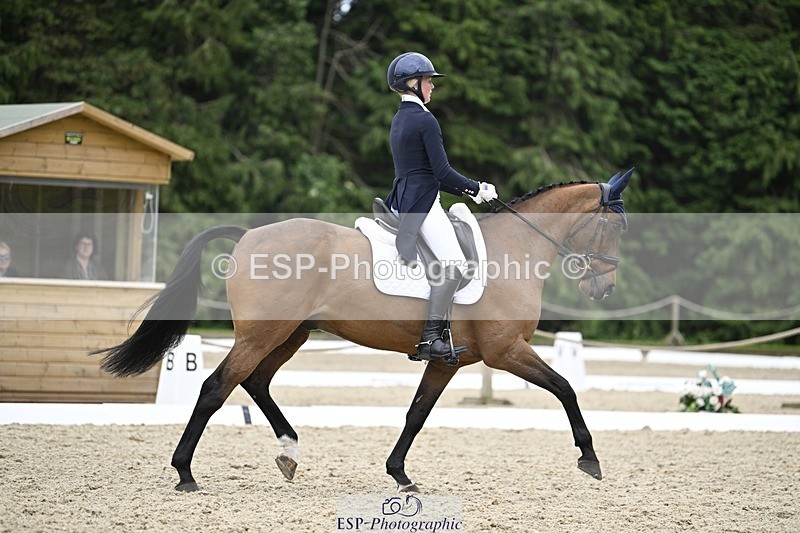 240523-144929-05111 - 442-FERNHILL_ZORO-Cassie_Sanger