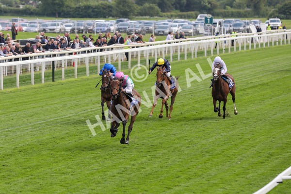 160524-Race 3-Bluestocking-1828 - Race 3 3.15pm  Al Basti Equiworld Dubai Middleton Fillies' Stakes