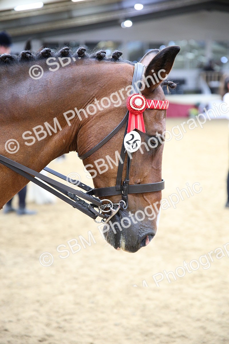 SBM_23403 - Class 904 - Supreme Final Ridden Diamond