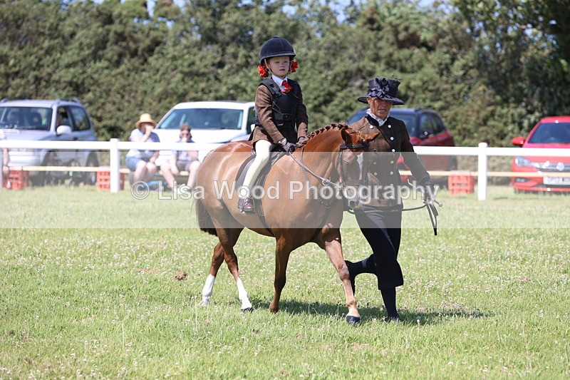 JPP_2294 - Class 20: Tiny Tots Working Hunter Pony