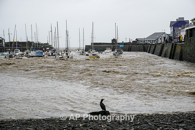 ACP04660-1 - Aberaeron Harbour, during storm Callum 13/10/2018