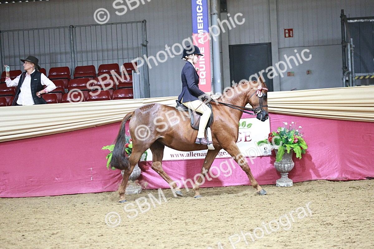 SBM_03339 - Class 6A Area Ridden Pre-Vet