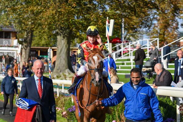 141023-Race 3-Montassib-1084 - Race 3 2.25pm Coral Sprint Trophy Handicap
