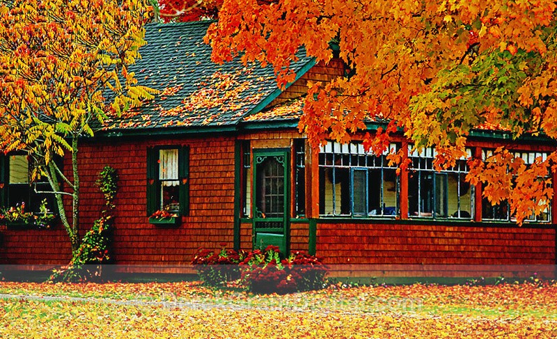 Country Cabin in Fall - New Brunswick Autumn Foliage - Autumn Foliage