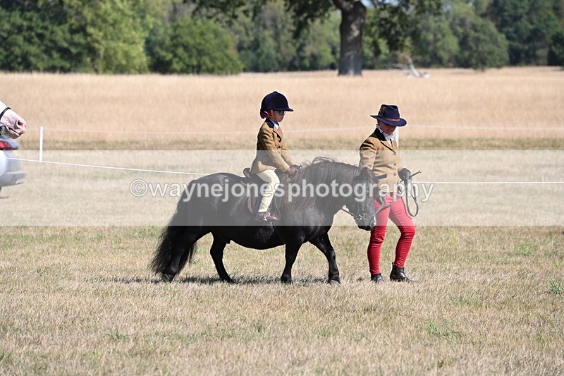WJ6_7386 - Class 34 Judges Choice