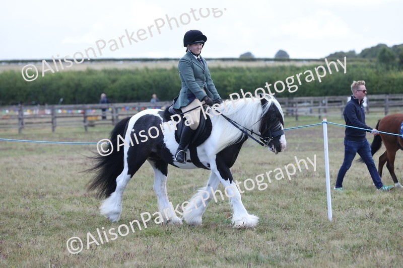 20250831-2392 - Class 16 - Family Pony