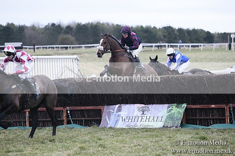 PtP 180218 252 - Combined Services Point-to-Point Larkhill 18/02/18