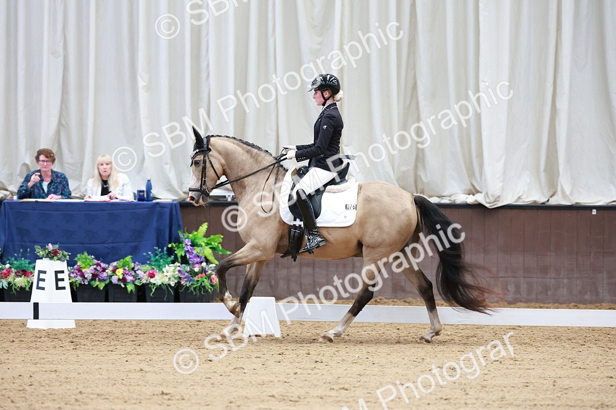SBM_017365 - Class15 - FEI Pony