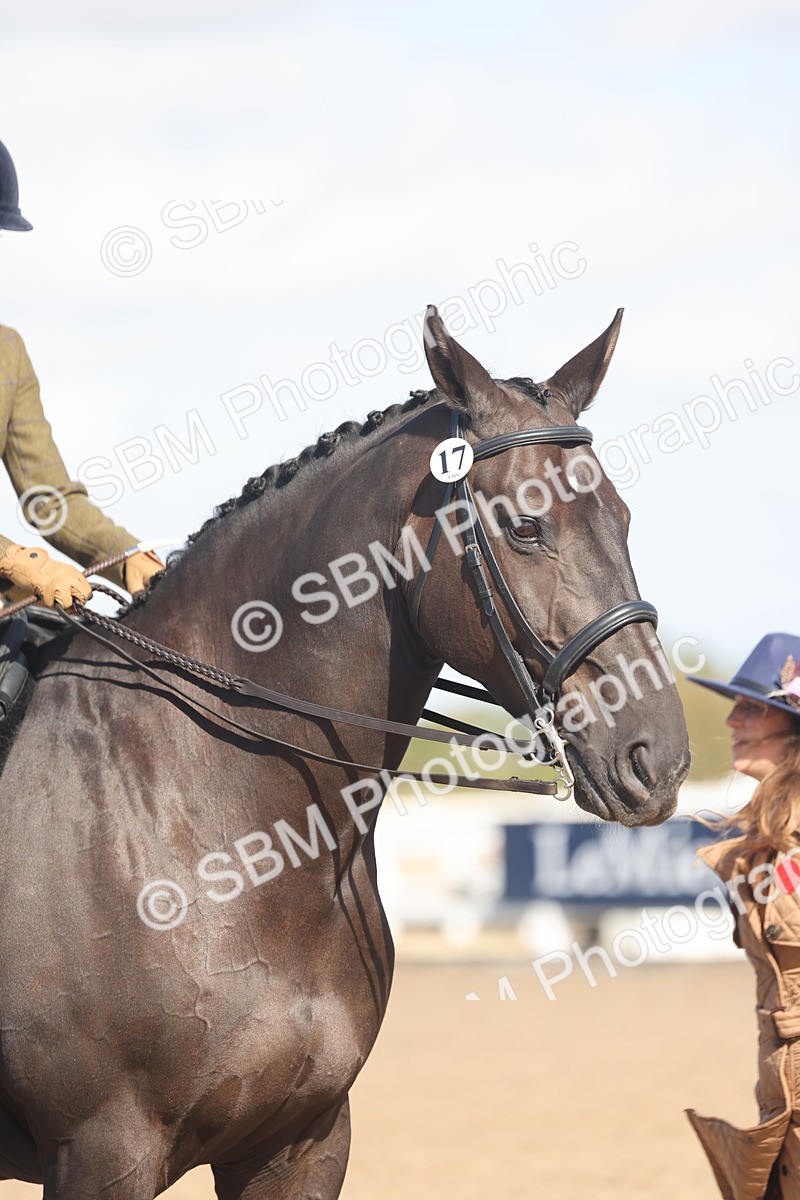 SBM_22657 - Class 805 - Ridden Veteran Horse