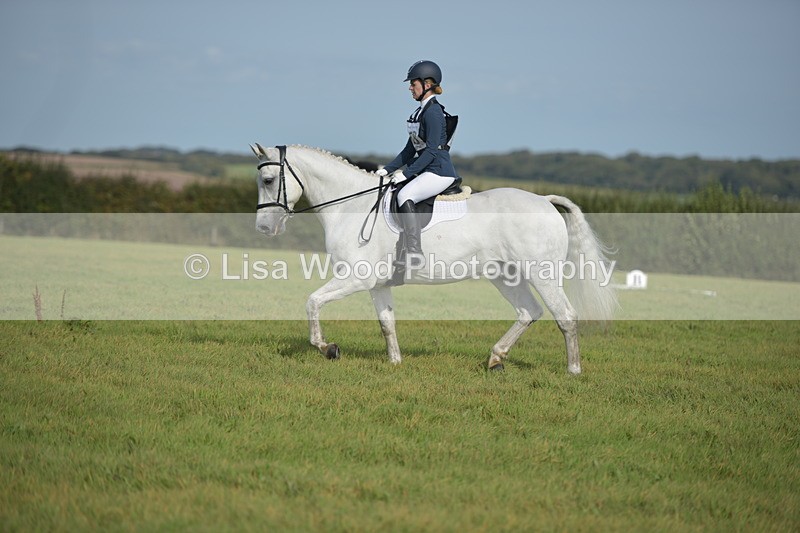 RAY_7669 - Class 2B: Trekenning Open: Dressage