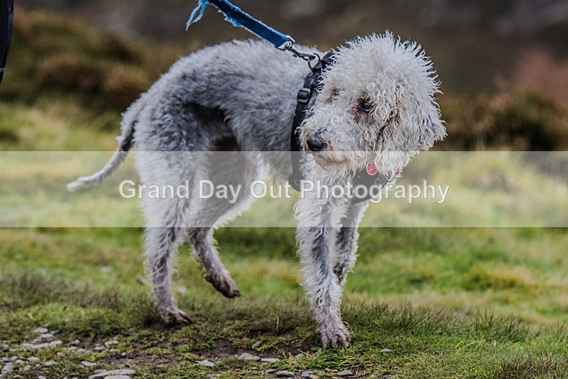 British Fell Relay-721 - British Fell & Hill Relay Championship Braithwaite Keswick Saturday 21st October 2023