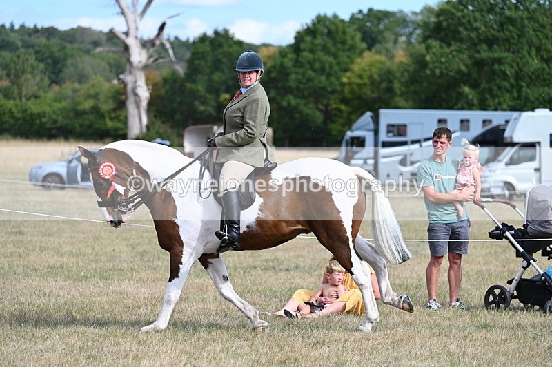 WJ7_7783 - Ridden Championship