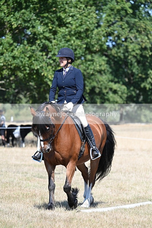 WJ7_0784 - Time 12:03 to 12:23