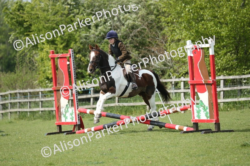 20260426-1586 - Class 14 - Novice 60cm