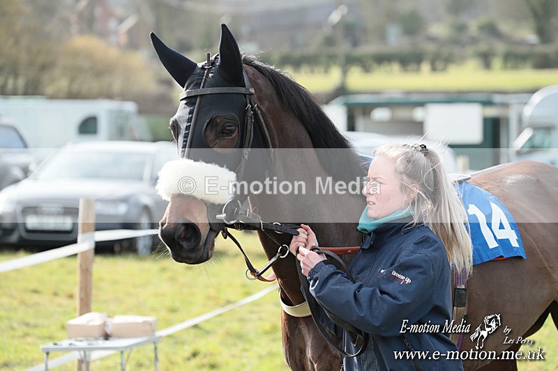 PtP 220225 411 - Kimblewick Point-to-Point  Kingston Blount 22/02/25