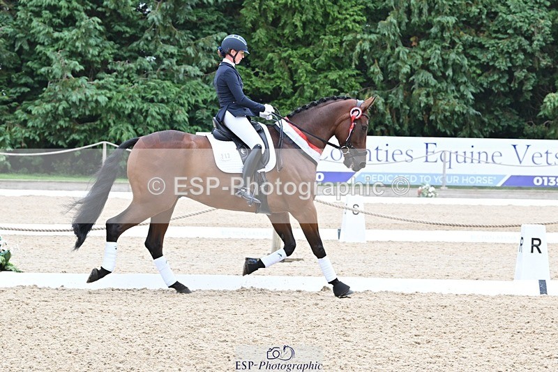 240811-132107-05895 - Adv Medium Silver