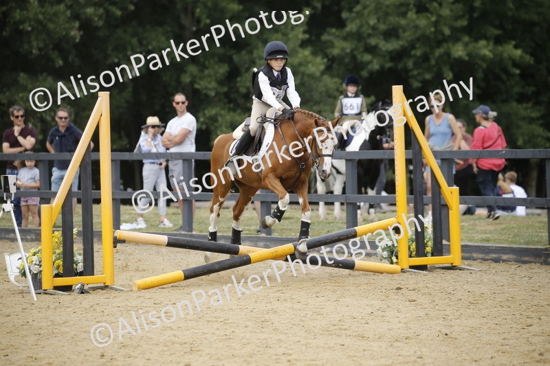 20250622-4636 - 50cm