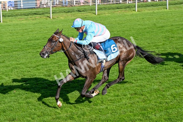 110725-Race 7-Secret Beach-0597 - Race 7 5.40pm William Hill Bet In Running Apprentice Handicap