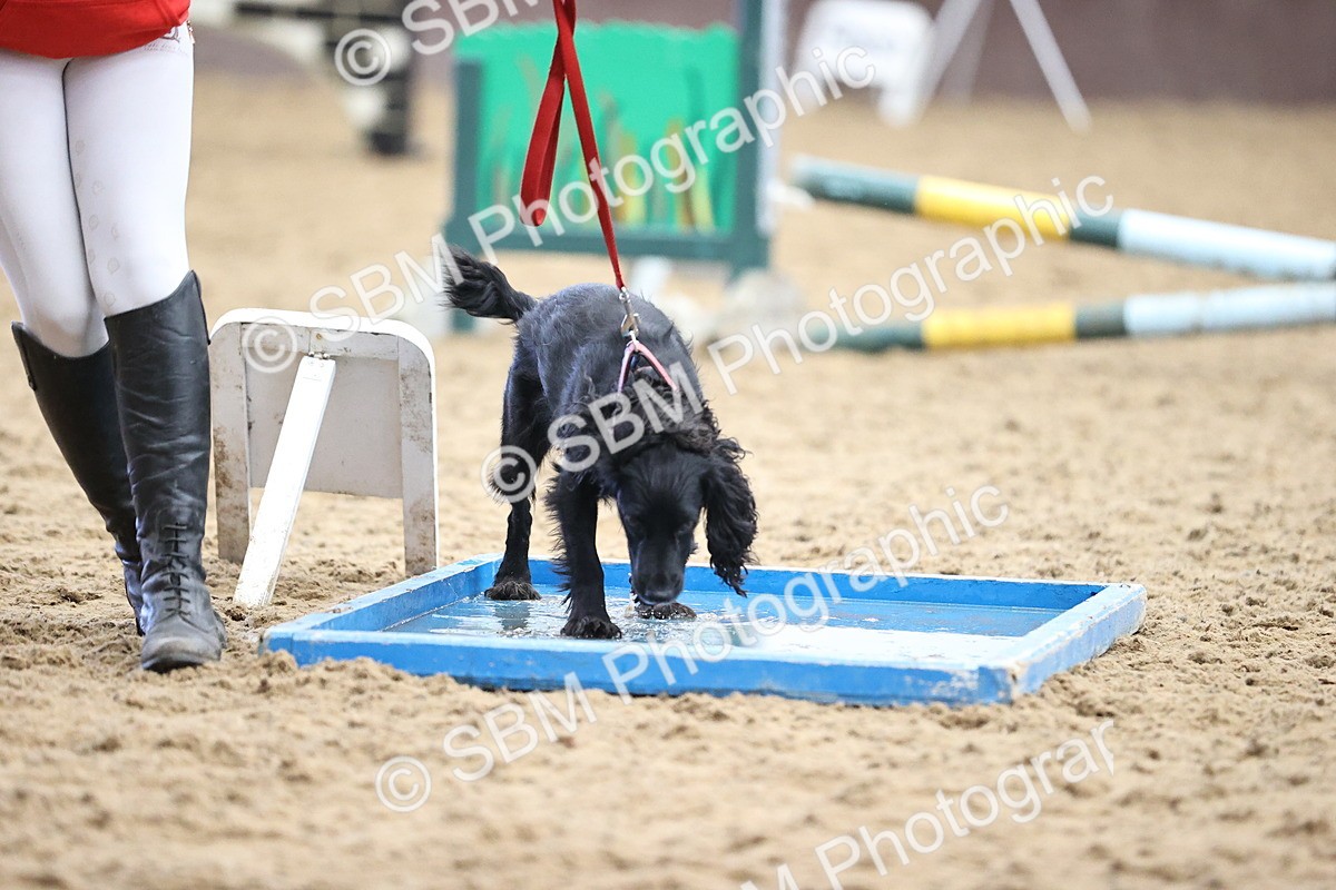 SBM_001458 - Class 3 - Horse & Hound 60cm