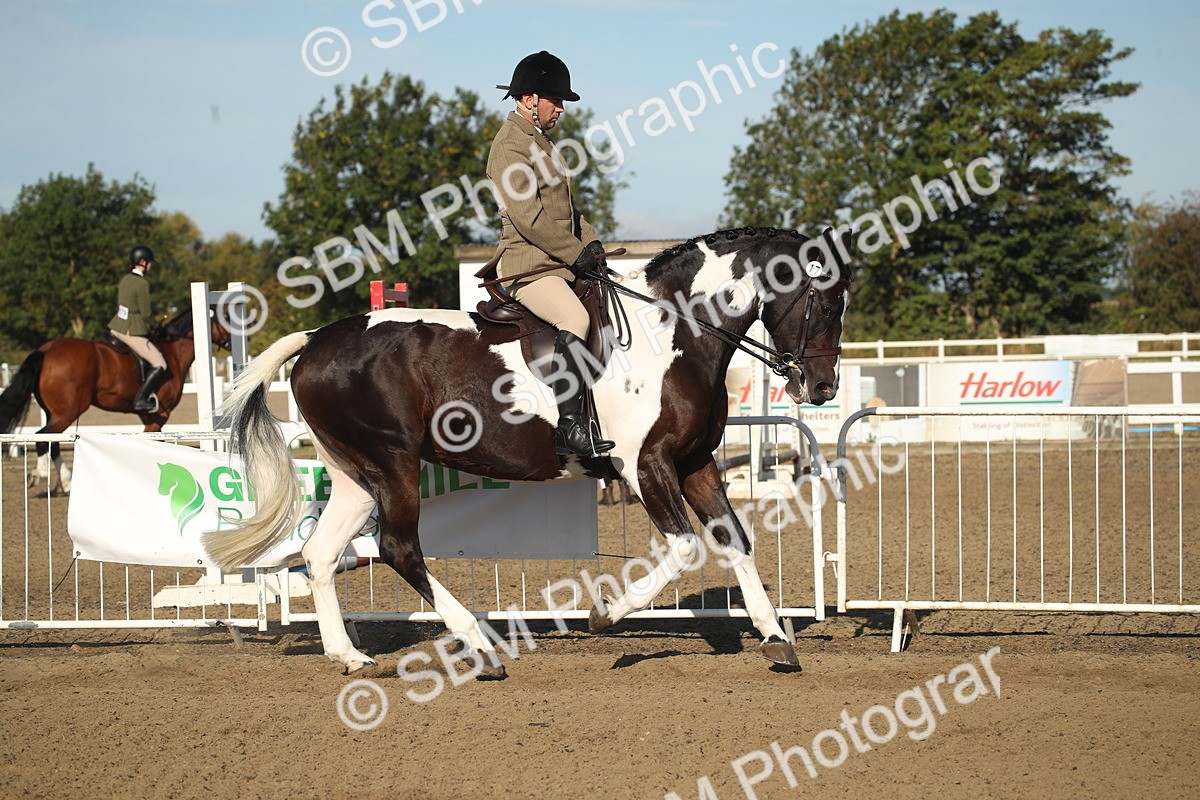 SBM_11307 - Class 501 -Riding Club Pony