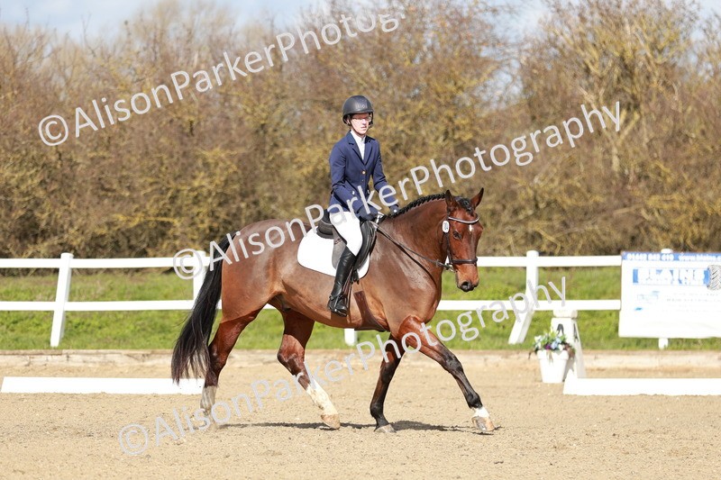 20260314-3009 - DR3 - Prelim 1