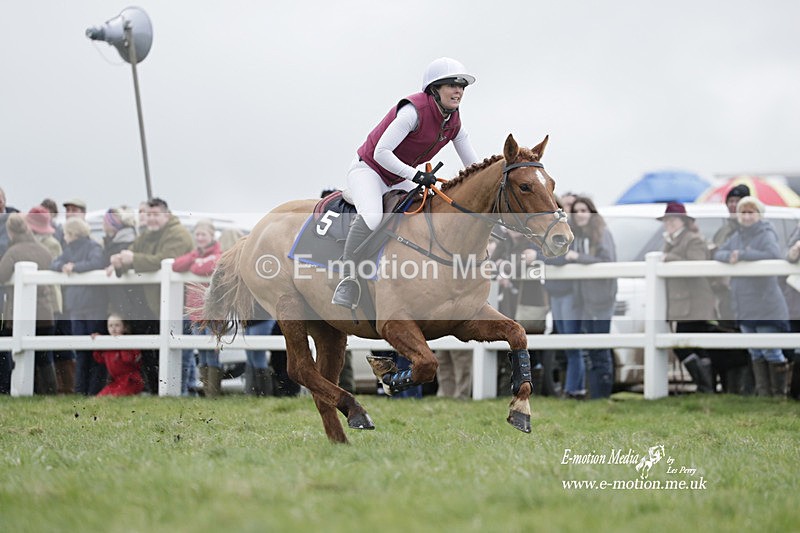 PtP 260323 0274 - New Forest Hounds Point-to-Point Larkhill 26/03/23