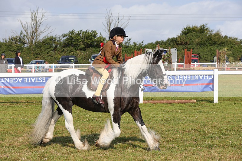 1X9A3425 - Class 28: Ridden Native/Trad Coloured Pony