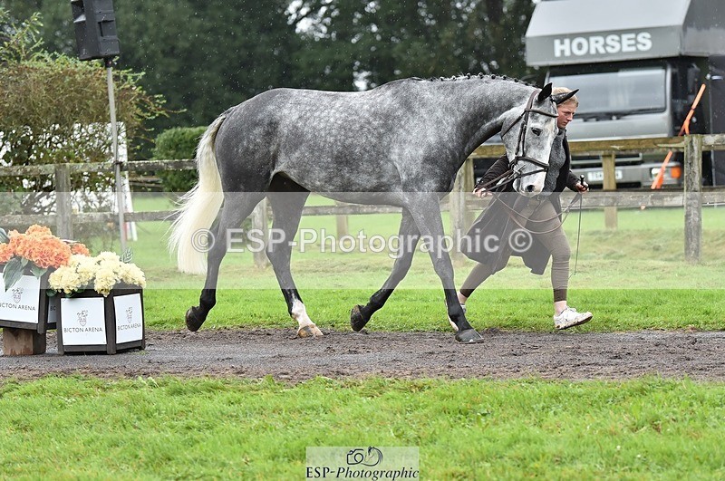 231018-124902-00544 - 068-DASSETT.PREMIER-Kate.Rocher-Smith-TrotUp