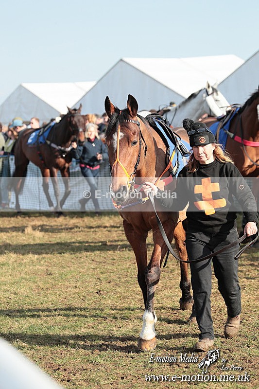 PtP 010325 399 - Beaufort Races Didmarton 01/03/25