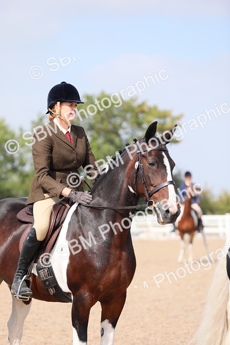 SBM_13509 - Class 308 Ridden Coloured Horse