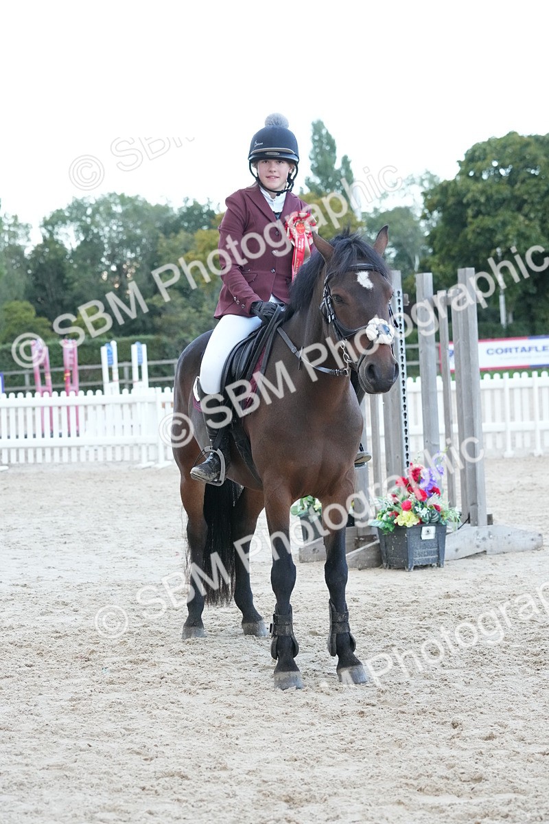 SBM_54253 - Supreme Championship 60cm 65cm