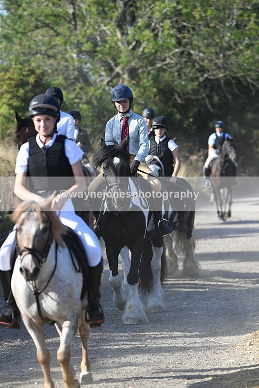 WJ5_4965 - Walk out with the hounds