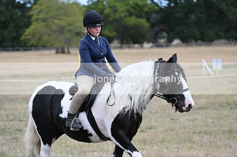 WJ7_5451 - Class 12 Ridden Cob