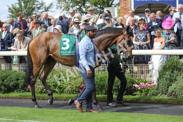 yr19082022r2-2 - Race 2 2.25pm Weatherbys Hamilton Lonsdale Cup (British Champions Series Race)