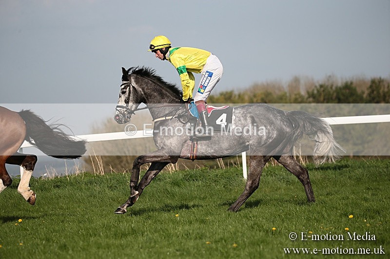 PtP 210418 598 - South & West Wilts Point-to-Point Larkhill 21/04/18