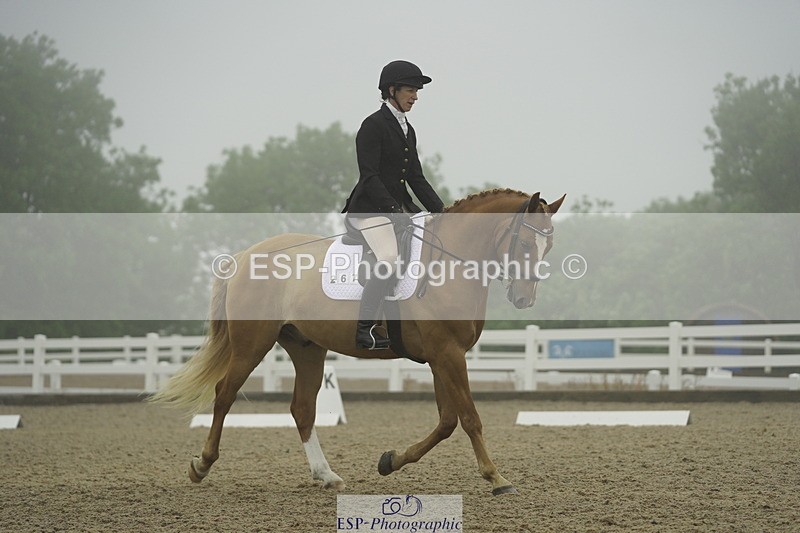 230708A-145938-03949 - Prelim 18