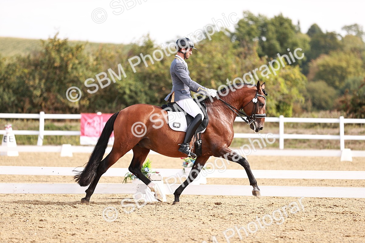 SBM_017597 - Class 11 - Advanced Medium 6