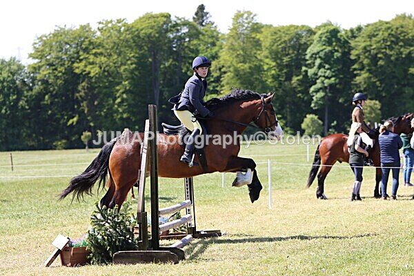 IMG_3478 - Working Hunter