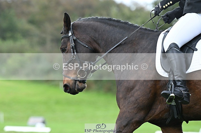 231020-151359-11112 - 503-JAGUAR.MAID-Isobel.Lole-DR