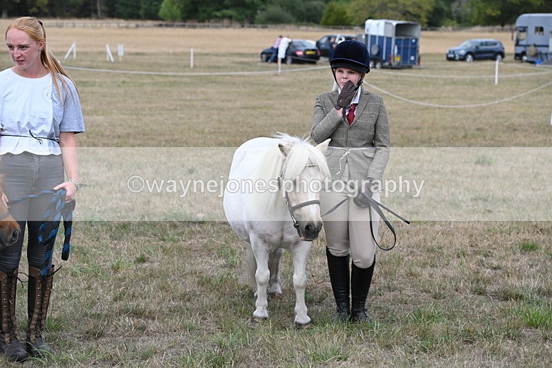 WJ6_7105 - Class 21 Shetland & Mini Horses