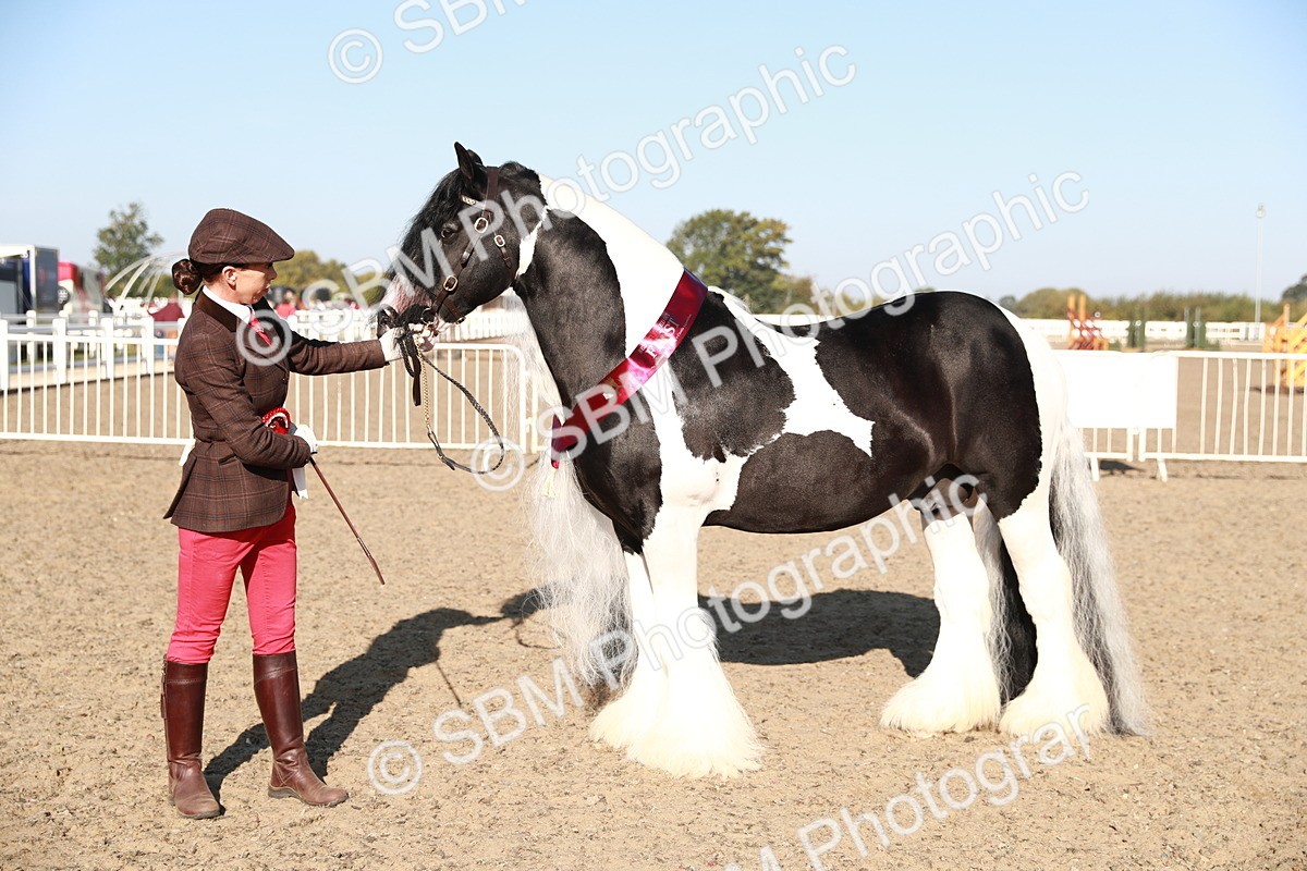 SBM_00095 - Class 40 Best Turned Out IH