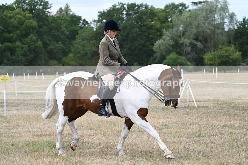 WJ7_5667 - Class 12 Ridden Cob