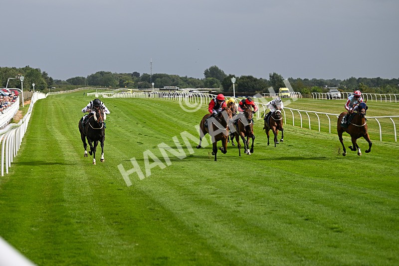 190824-Race 5-Birkenhead-3820 - Race 5