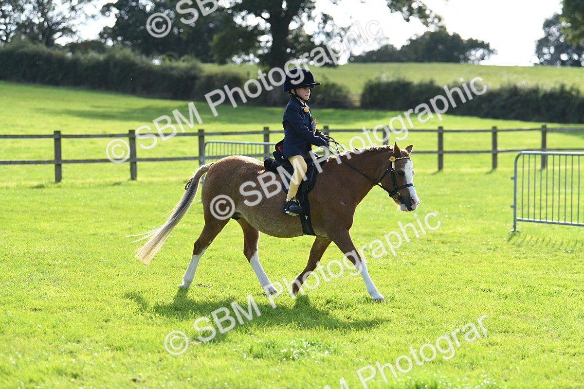 SBM_50529 - S21 - Novice & Newcomers 1st Ridden Pony
