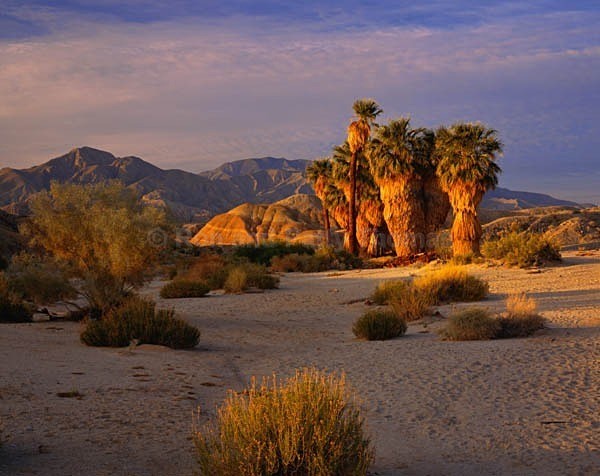 Istock #15914280 - Southwest Deserts