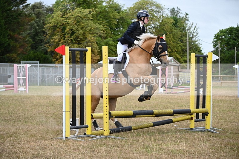 WJ6_9912 - Class 13 Novice Jumping 60cm