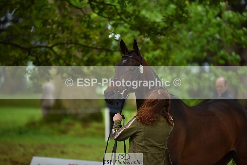 240522-170008-01315 - 271-WILD_ATLANTIC_WAY-Susie_Berry