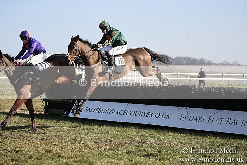 PtP 240218 349 - Vine & Craven Hunt Point-to-Point Barbury racecourse 24/02/18